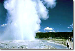 Fountain Geyser erupts as visitors watch from the boardwalk.