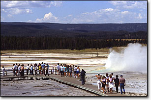 Visitors get a spectacular view of Fountain Geyser erupting from their vantage point on the Fountain Paint Pot Tour boardwalk.