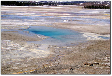 Jelly Geyser is a calm blue pool between eruptions.