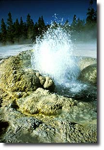 Splashing out of its large brown cone, Comet Geyser is almost constantly active.