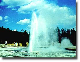A view of Plume Geyser erupting.