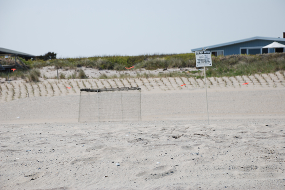 Plover exclosure and fencing in front of a Fire Island community.