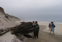 Hikers examine old shipwreck exposed in eroded dune on beach.
