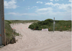 Closure signs for off-road-vehicle route cut through the dune.