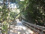 Watch Hill Nature Trail