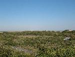 Barrier Island Cross Section