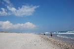 Beachcombing at Barrett Beach