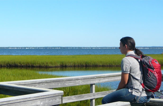 Teacher-Ranger-Teacher, Andrea Montalvo, gazes across the Watch Hill salt marsh.
