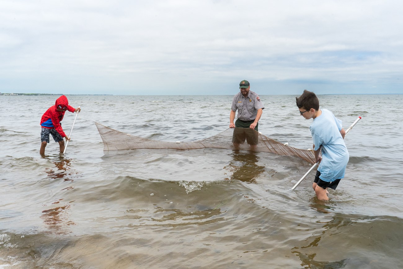 Two kids pull a sein net through shallow water with a park ranger.
