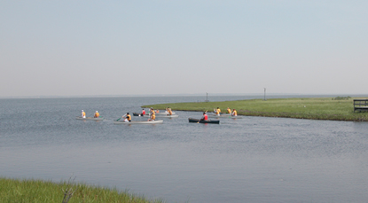 Group of canoes glide into salt marsh.