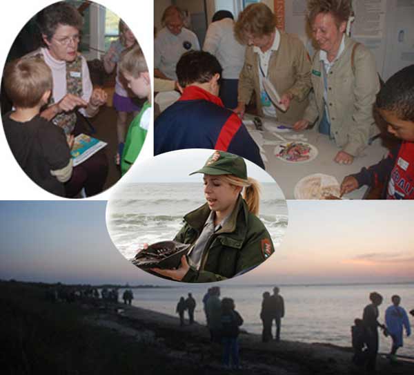 Collage of activities during horseshoe crab programs.