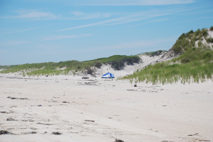 Small backpacker tent on beach near dunes