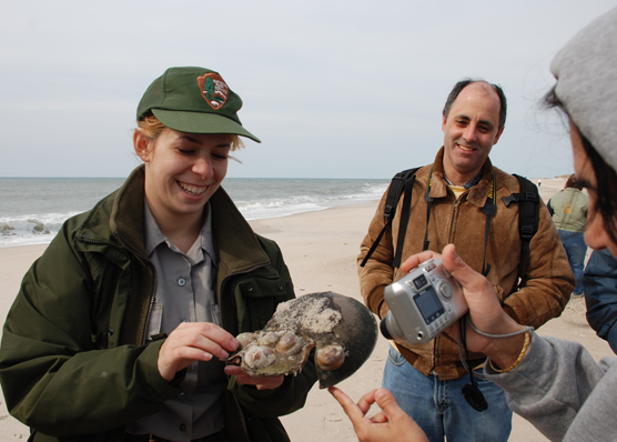 Park ranger holds horseshoe crab shell, photographed by beach walk participant.