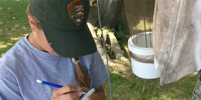 Park biologist monitors mosquito traps on Fire Island.