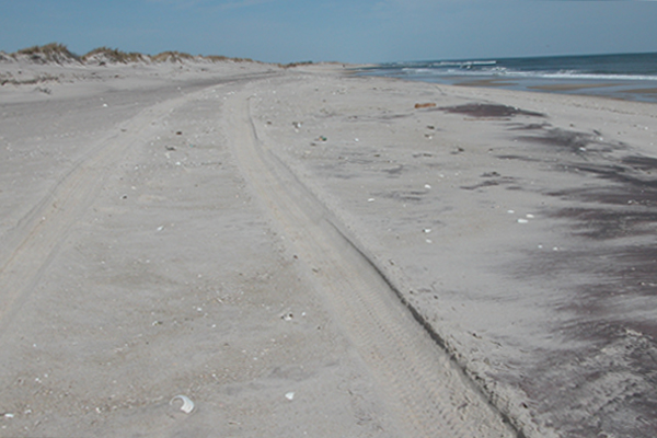 White sand beach overwashed with reddish garnet sand.  