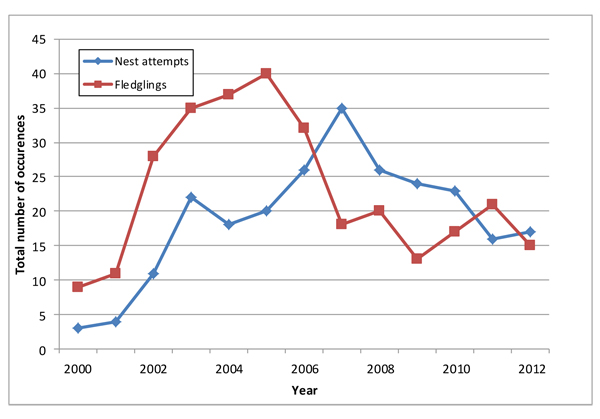 Graph showing the number of Fire Island's piping plover nests and fledgling from 2000-2012.