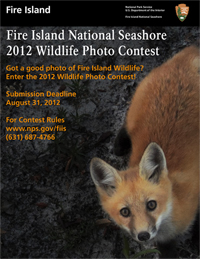 2012 Wildlife Photo Contest flyer