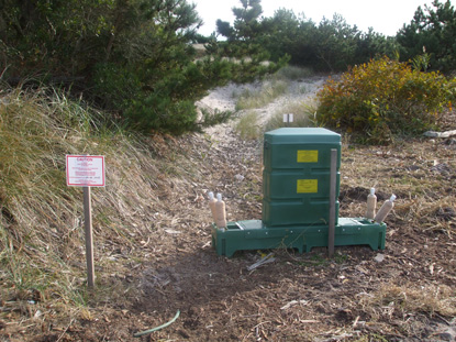 Signed green plastic device along sand trail. Signed green plastic device along sand trail.