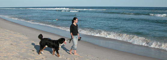 Woman with large dog strolling on beach during the early fall.