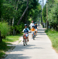 Children riding bikes on path.