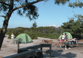Setting up tents in group campground at Watch Hill.