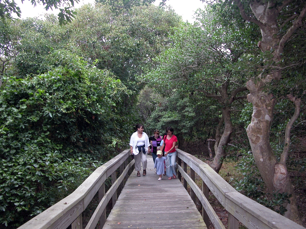 The Sunken Forest at Sailors Haven