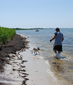 Man walking leashed dog on bayside beach.