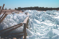Ice piled over pier.