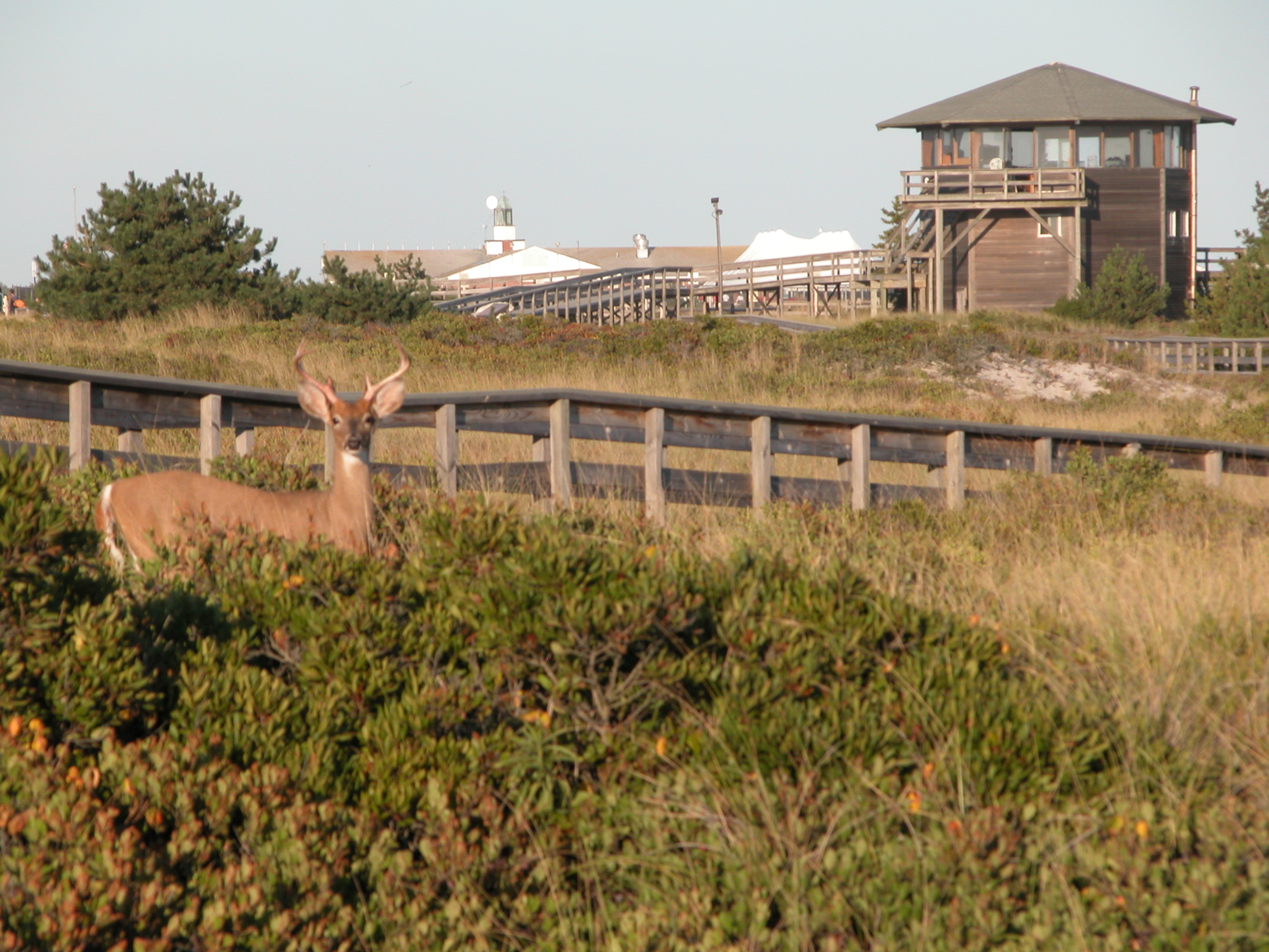 Wilderness Visitor Center