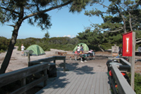 Small group of campers set up their tents in campground.