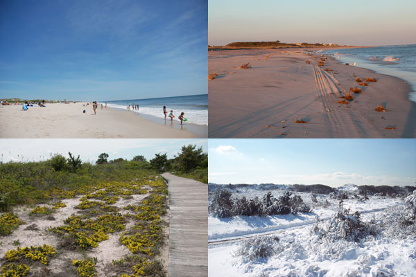 Collage of seasonal scenes on Fire Island.