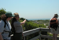 View from Sunken Forest Trail.