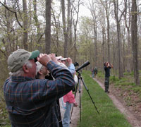 Small group of birdwatchers under sparsely leafed trees.