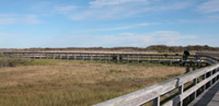 Watch Hill Nature Trail in the fall.