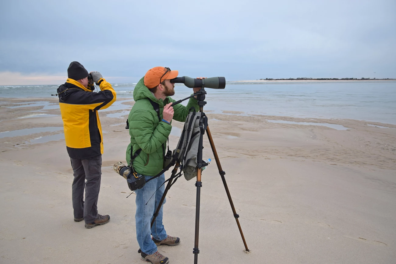 Birding Two people birdwatching at the breach on Fire Island.