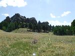 Pike's Peak Granite