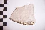 Fossil Maple Leaf