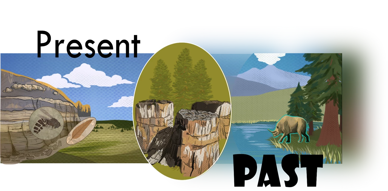 Past & Present Florissant Illustration of Florissant in the present and past. To the left is Florissant valley. The shale outcrop is shown with images of a leaf and wasp fossil. In the center is the petrified Redwood trio. On the right is ancient Lake Florissant and a Brontothere.