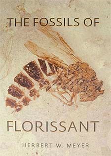 Fossils of Florissant