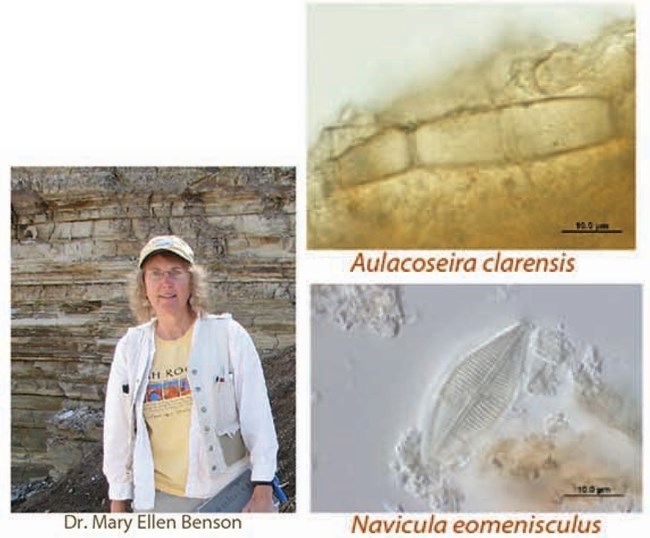 Dr. Mary Ellen Benson and two fossil diatoms that she studied.