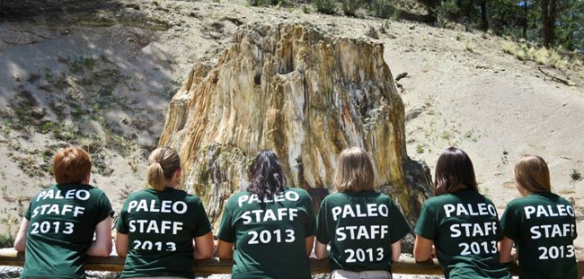 Paleontology Interns, Summer 2013