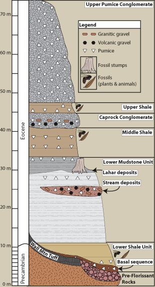 Fossil Stratigraphy Activity
