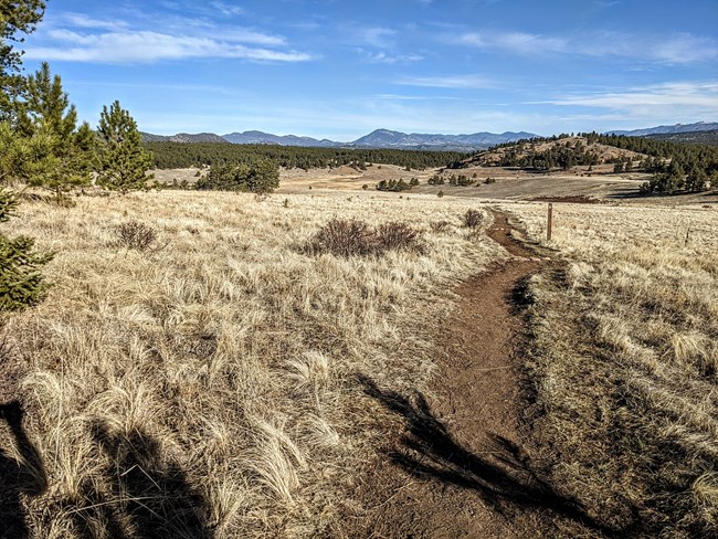 a trail cuts though a meadow
