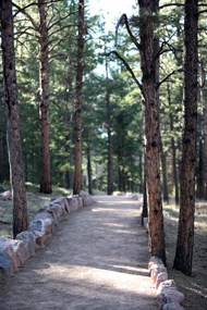 Ponderosa Loop Trail