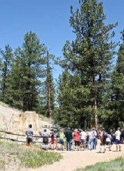 Visitors viewing the Big Stump