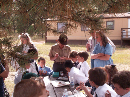 children looking at fossils working towards their Junior Ranger badges