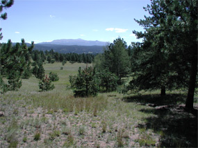 view of Pikes Peak