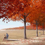 Design rendering of the permanent Flight 93 National Memorial