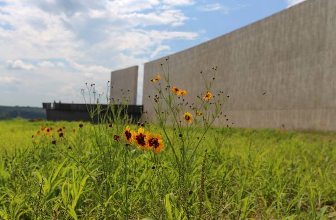 Yellow wildflowers in the foreground with the 50-foot concrete walls of Visitor Center in the background.