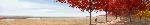 Field of Honor - panoramic view (Image credit:  bioLINIA and Paul Murdoch Architects)